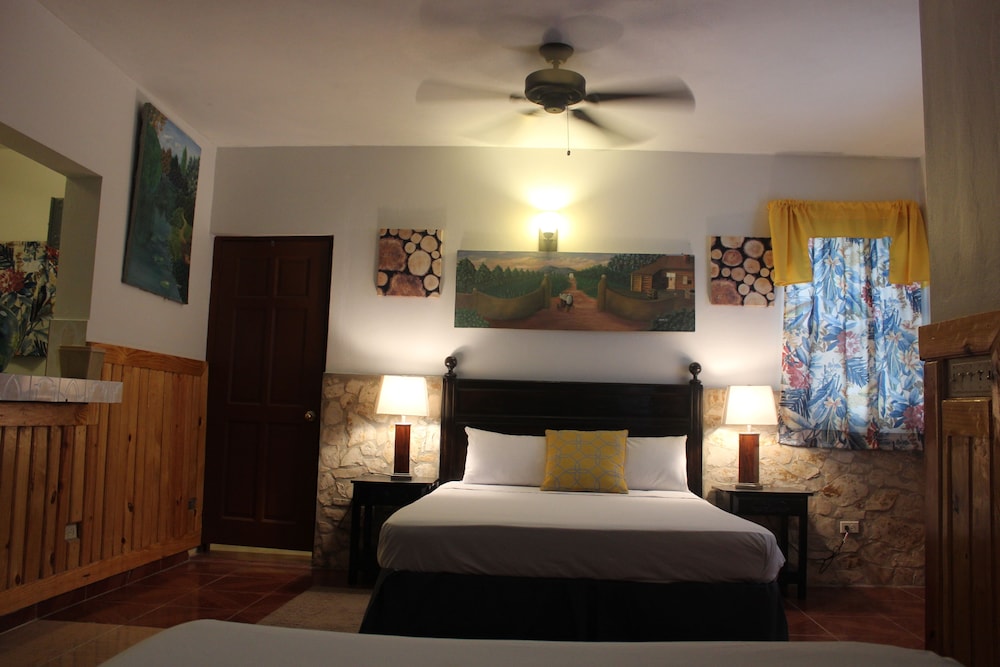 Room, 1 Queen Bed (Mini Suite) photo 1