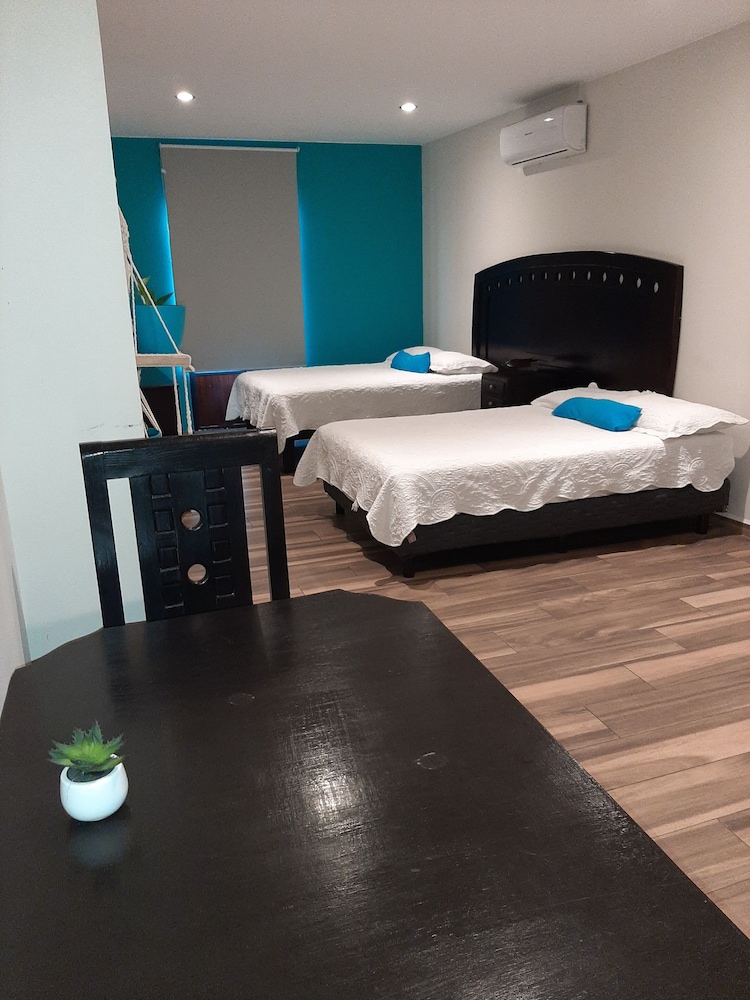 Junior Studio Suite photo 3