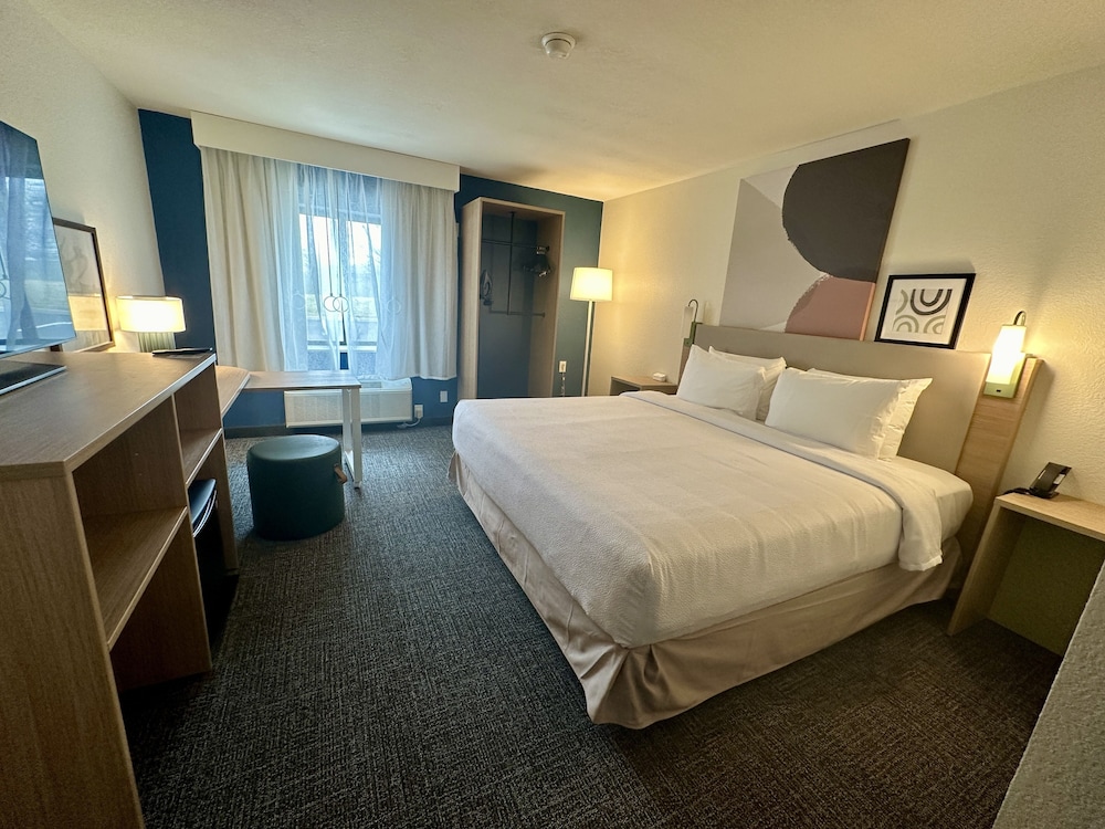 Room, 1 King Bed, Accessible (Mobility & Hearing, Roll-in Shower)