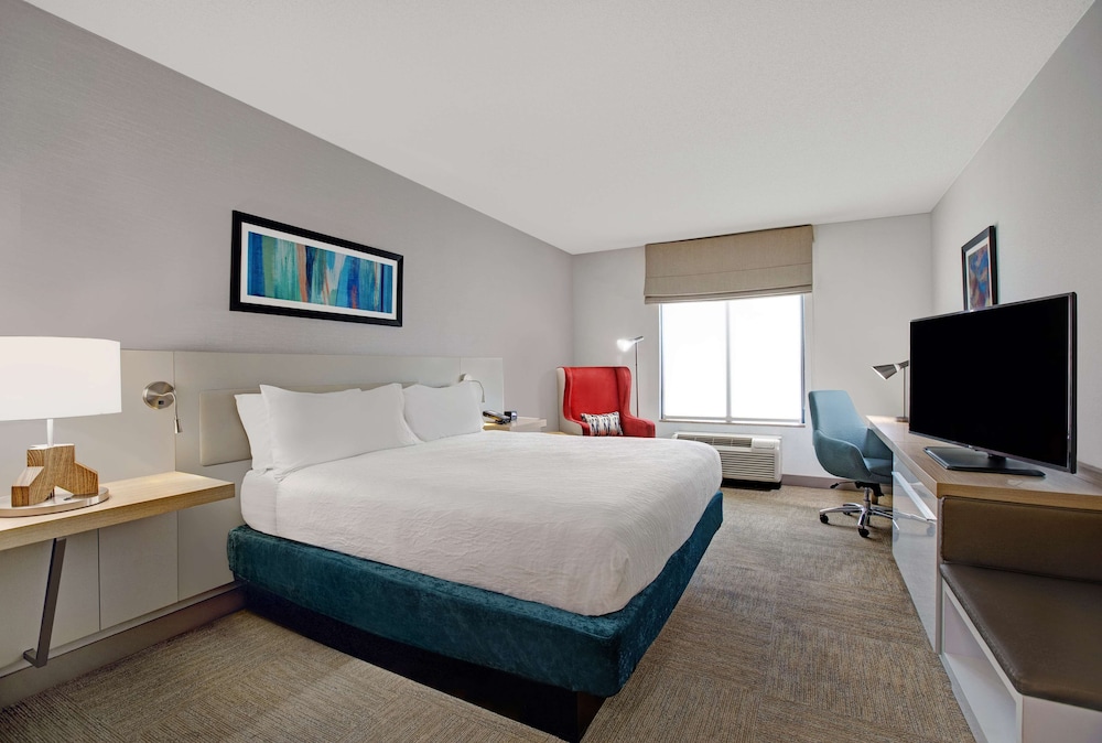 Room, 1 King Bed, Accessible photo 2