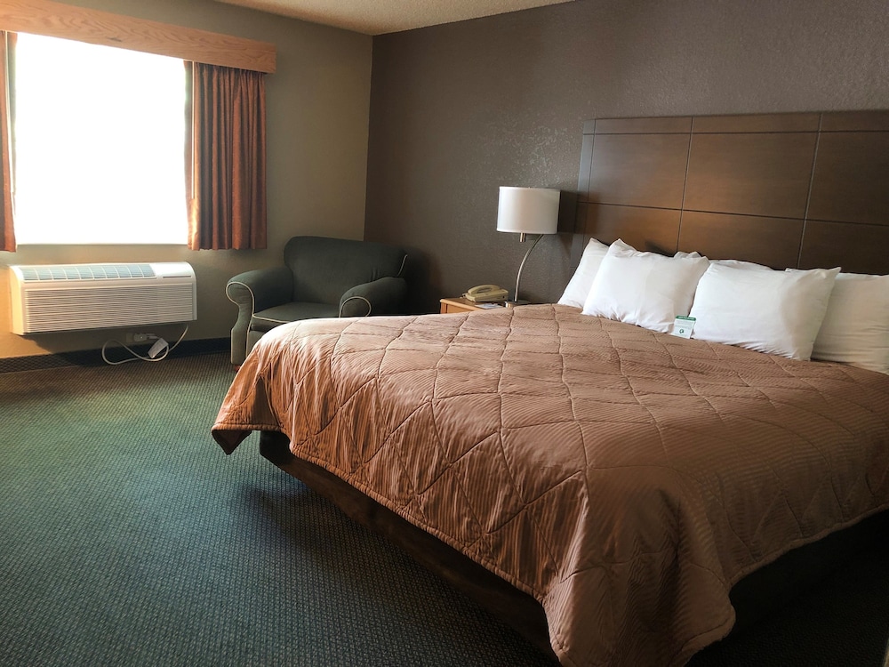Room, 1 King Bed, Non Smoking photo 1