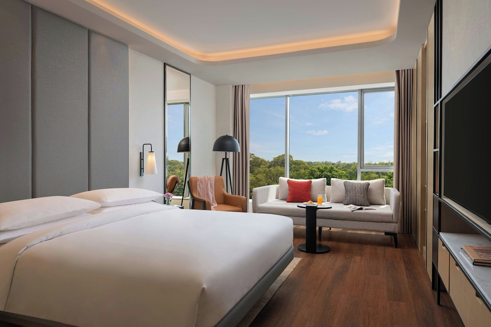 Superior Studio, 1 King Bed, City View