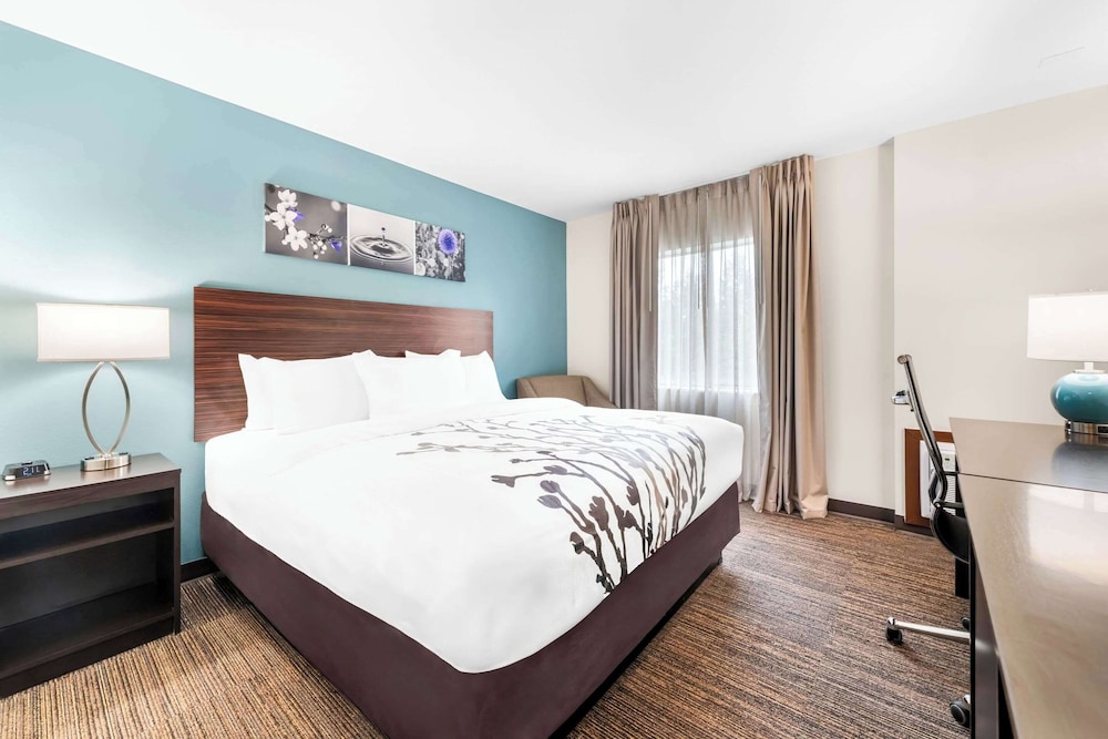 Room, 1 King Bed, Non Smoking - Photo 5