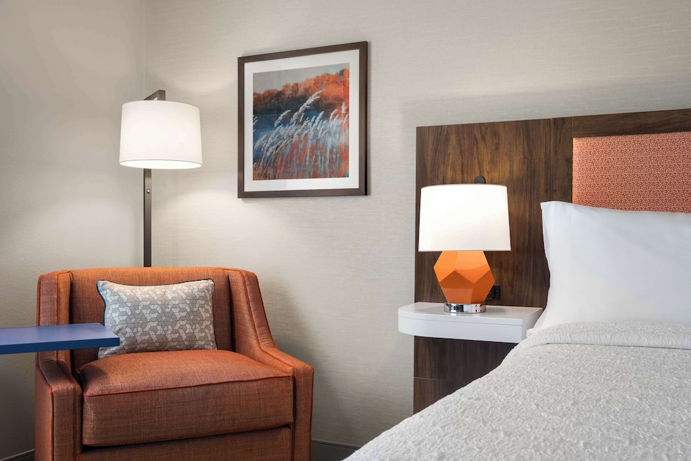 Room, 1 King Bed, Accessible (Mobility & Hearing, Roll-in Shower) photo 2