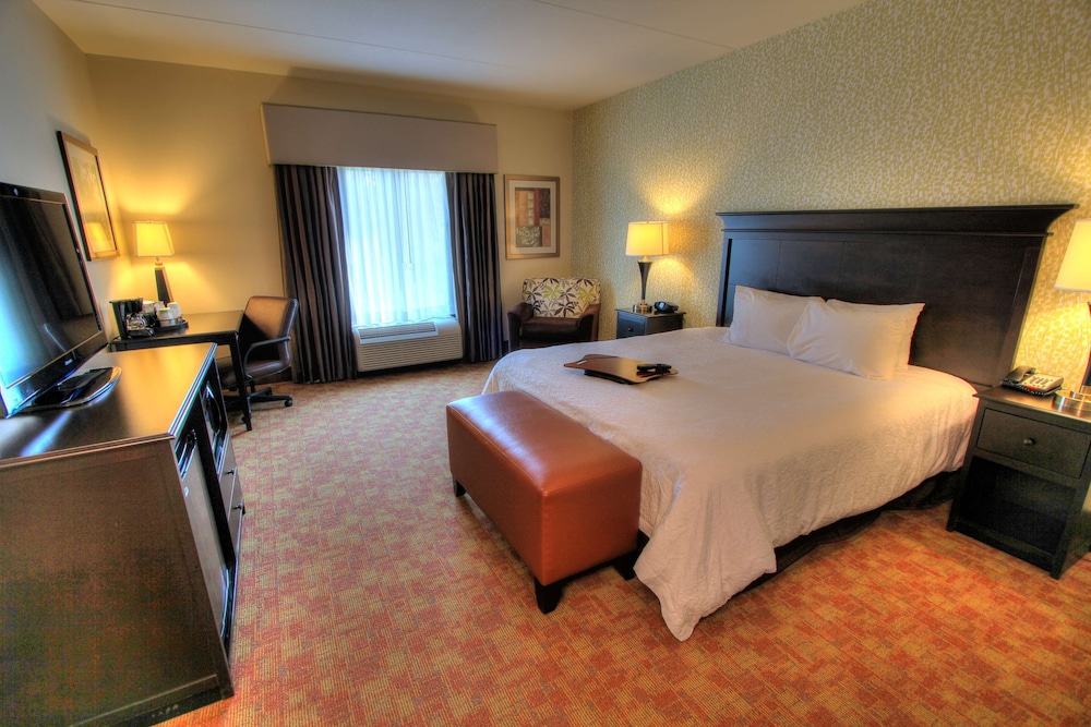 Room, 1 King Bed, Accessible (Hearing) - Photo 2