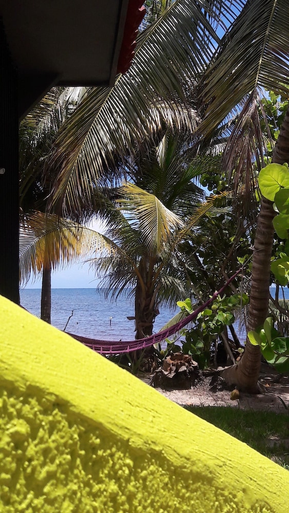 Premium Room, Oceanfront (King) photo 3