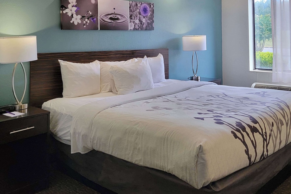 Standard Room, 1 King Bed, Non Smoking - Photo 1