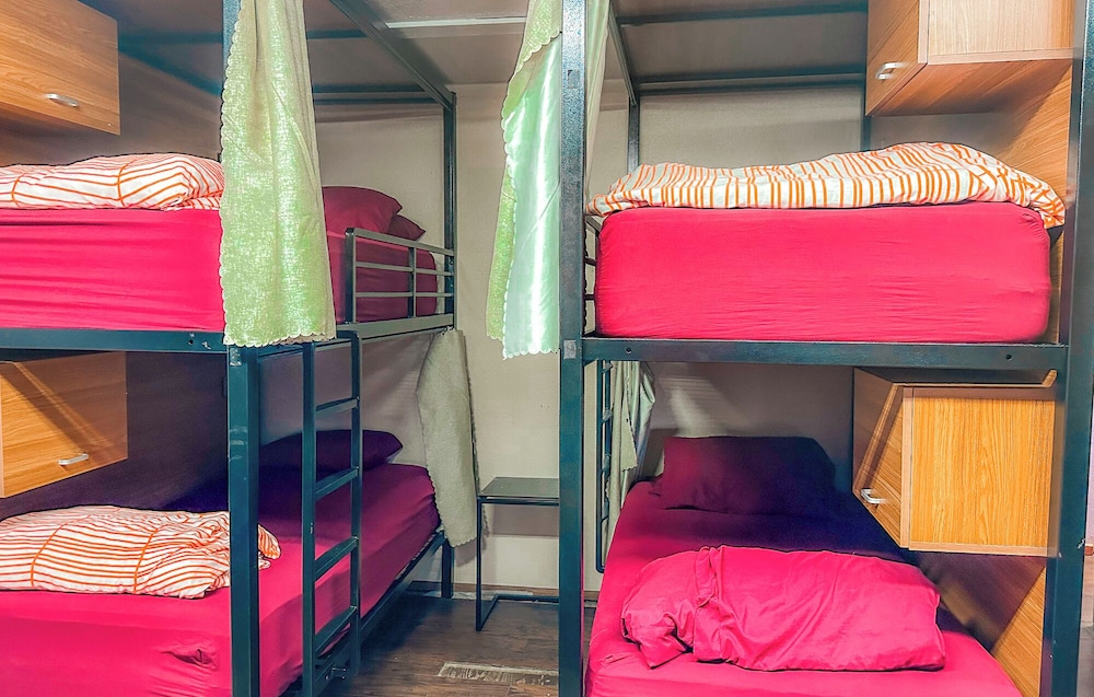 Basic Shared Dormitory photo 1