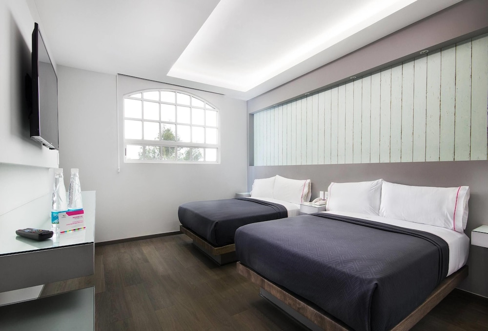 Suite, 2 Queen Beds, Non Smoking photo 3
