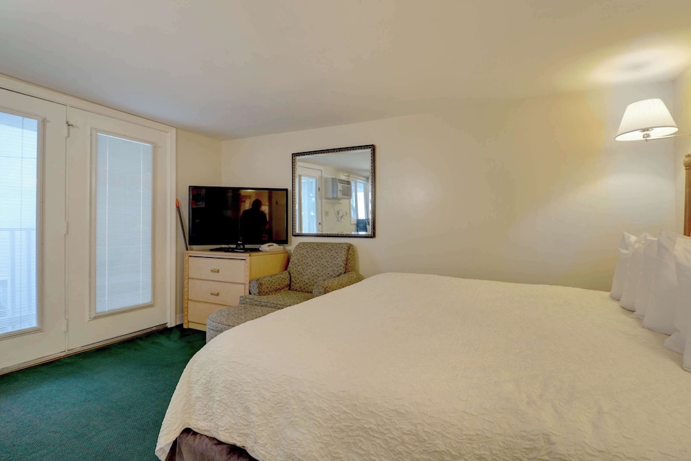 Standard Room, 1 King Bed, Non Smoking, Kitchenette photo 1
