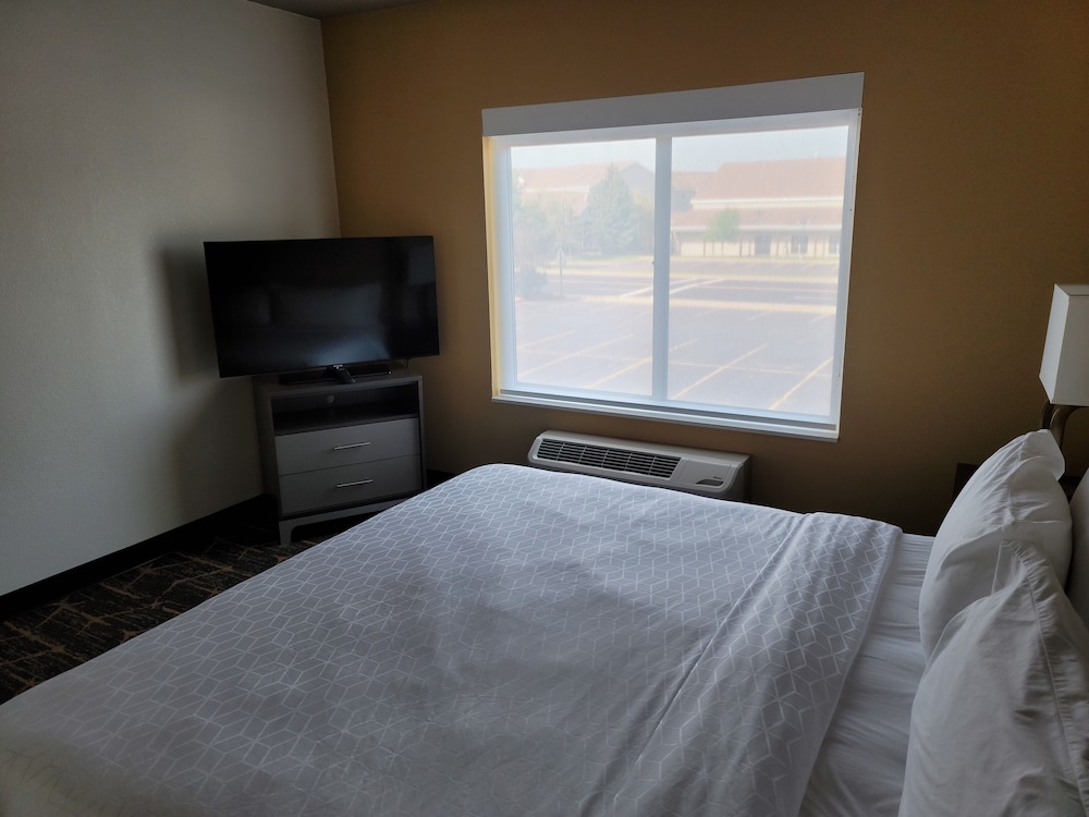 Suite, 1 King Bed, Accessible (Mobility, Roll-In Shower) - Photo 3
