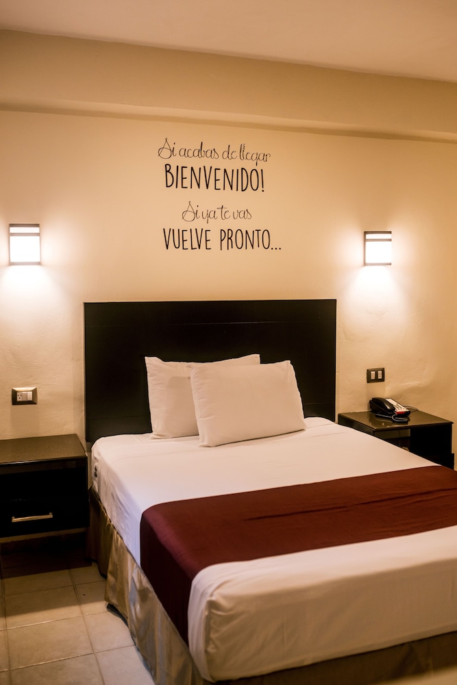 Standard Single Room - Photo 6