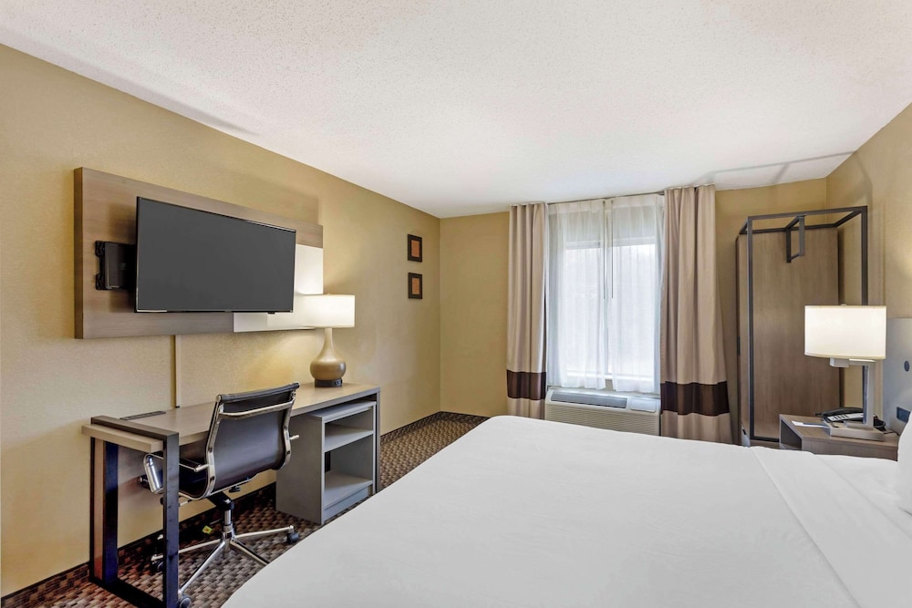 Suite, 1 King Bed with Sofa bed, Accessible, Non Smoking (Efficiency) - Photo 8