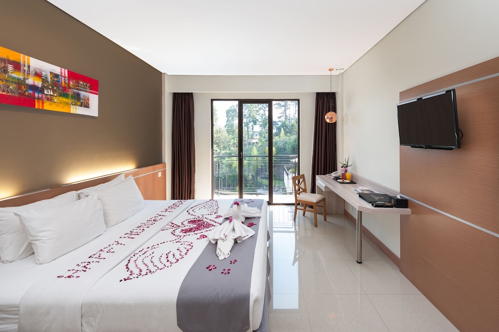 Deluxe Double or Twin Room photo 3