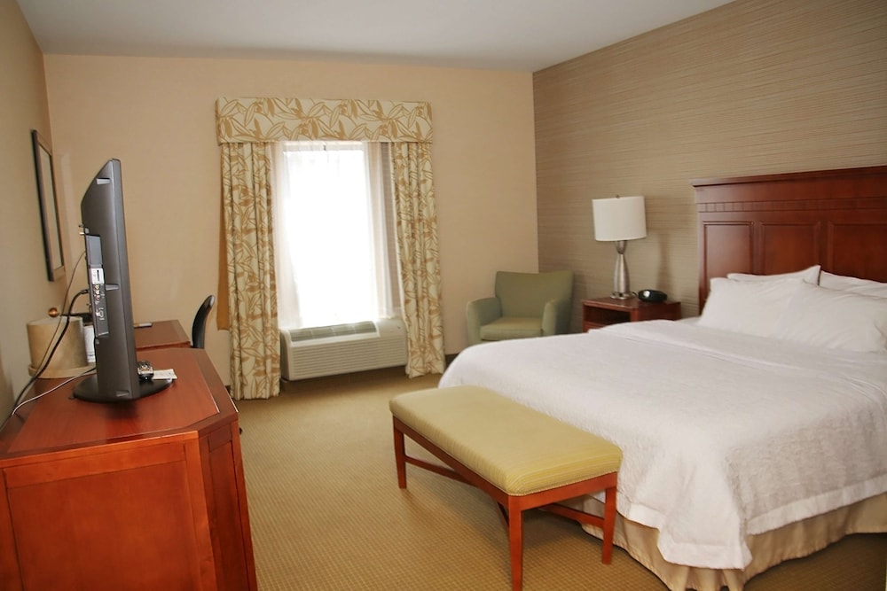 Room, 1 King Bed, Accessible, Non Smoking photo 1