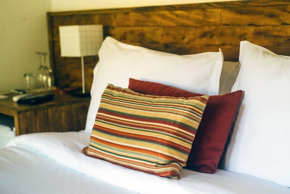Comfort Suite, 1 Queen Bed photo 2