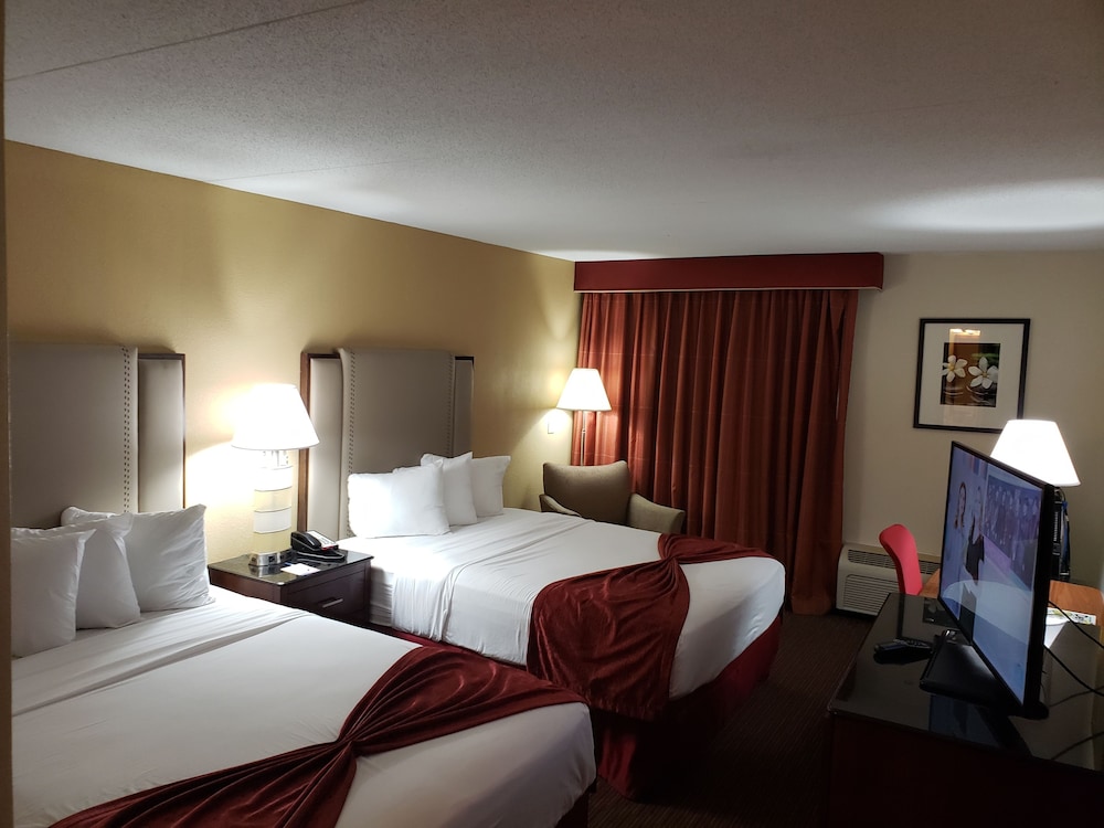 Business Single Room, 2 Queen Beds - Photo 1
