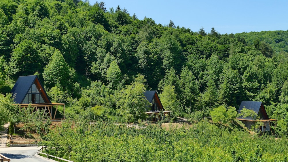 Panoramic Cabin photo 3