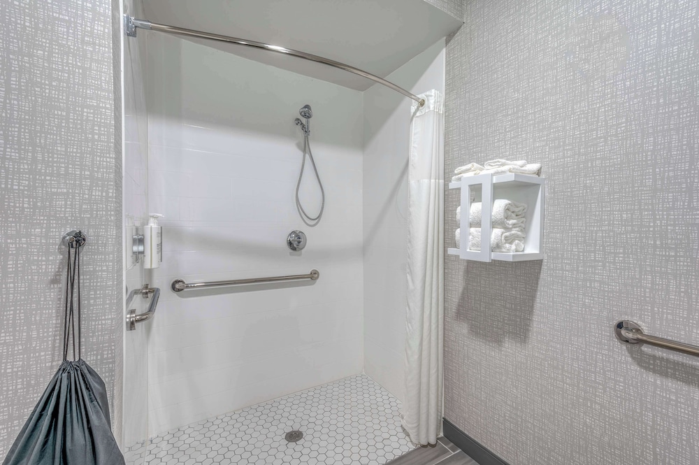 Room, 1 King Bed, Accessible, Non Smoking (Mobility & Hearing, Roll-in Shower) - Photo 4