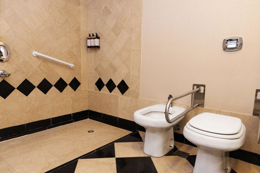 Room, 1 King Bed, Accessible (Roll-In Shower)