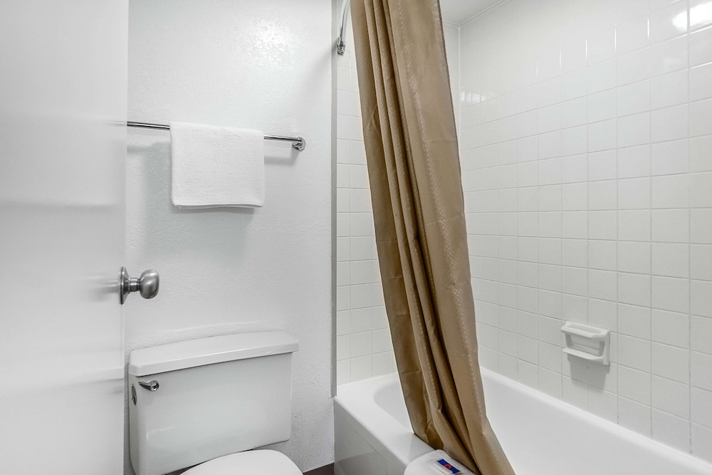 Premium Room, 1 King Bed, Non Smoking, Refrigerator photo 2
