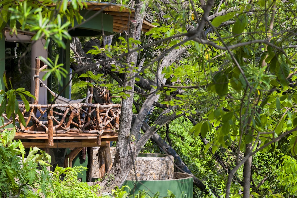 Jungle Love Nest-ocean View