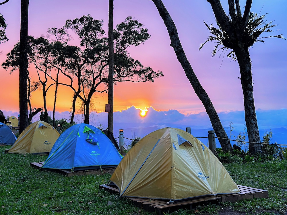 Standard Tent
