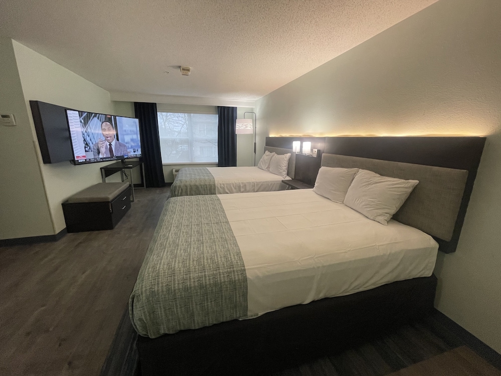 Room, Multiple Beds, Accessible, Non Smoking (Mobility) - Photo 1