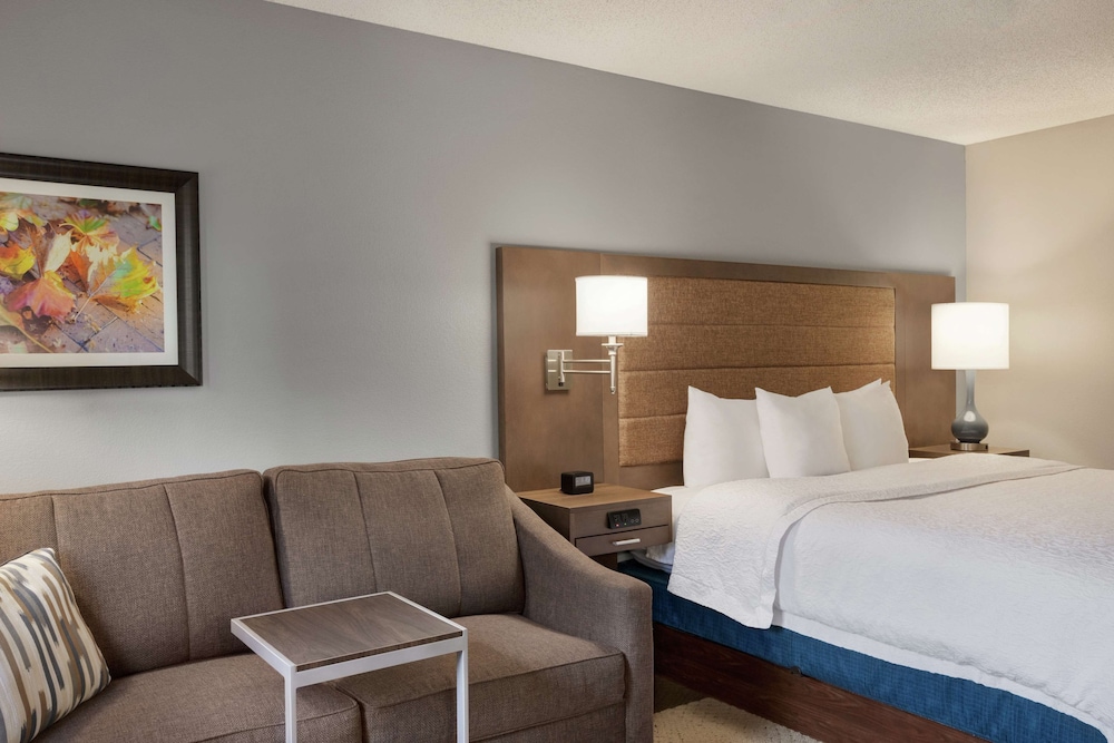 Suite, 1 King Bed, Accessible (Hearing) - Photo 5