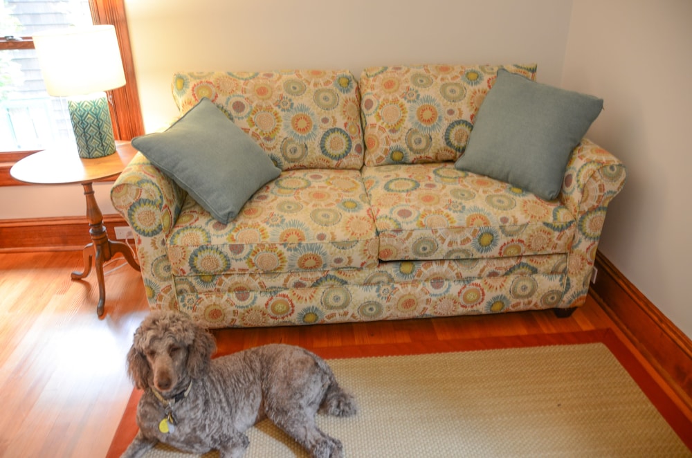 Studio Suite photo 3