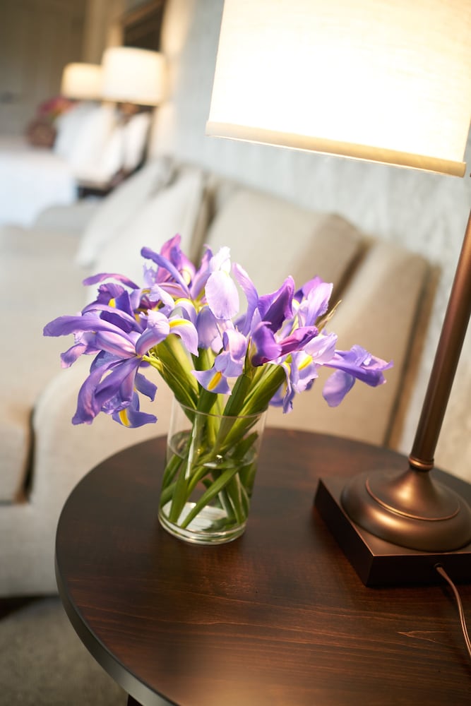 Signature Suite (Bancroft) photo 2
