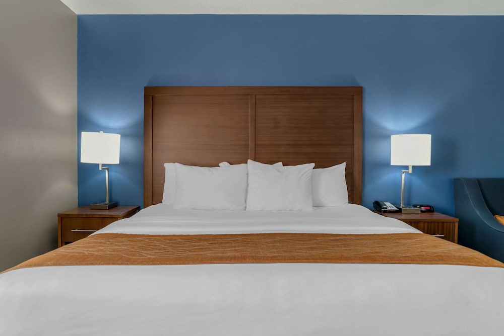 Suite, 1 King Bed, Jetted Tub - Photo 3