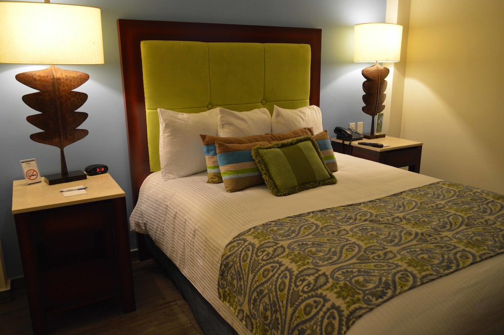 Standard Plus Room photo 2