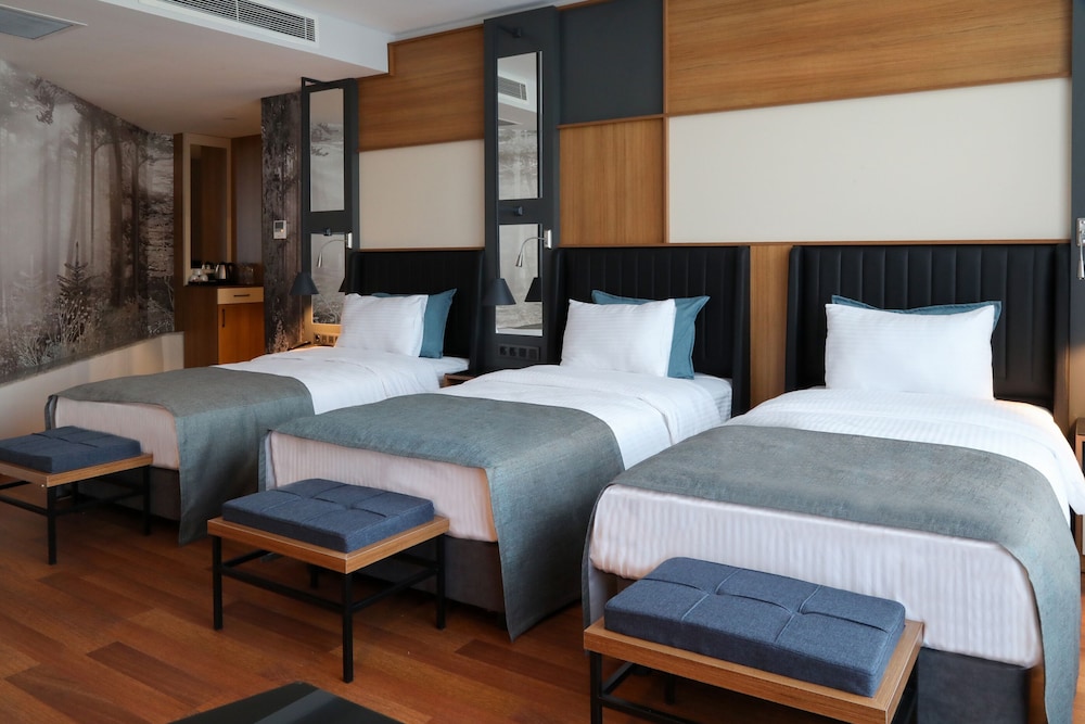 Standard Triple Room photo 1