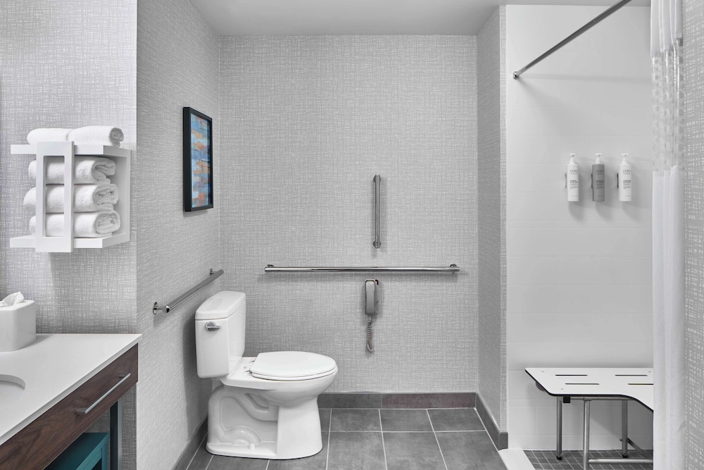 Room, 1 King Bed with Sofa bed, Accessible (Roll-In Shower, Mobility & Hearing) - Photo 5