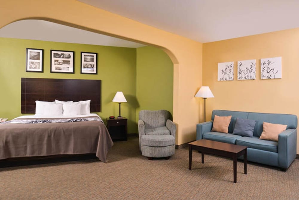 Suite, 1 King Bed, Non Smoking - Photo 2