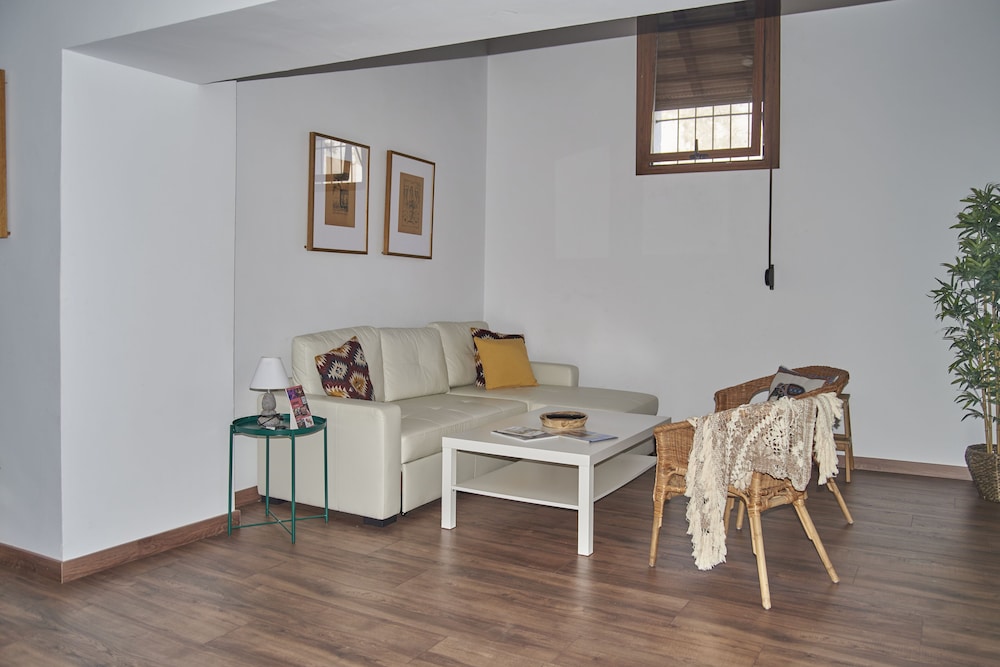 Apartamento Estándar de 1 Habitación