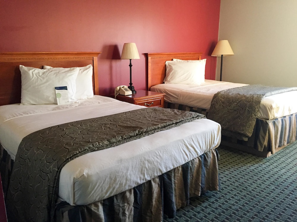 Deluxe Room, 2 Double Beds, Non Smoking, Refrigerator & Microwave photo 2