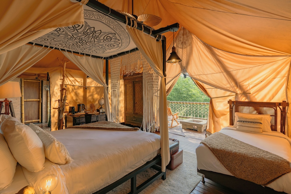 Safari Lux 2 - Photo 8