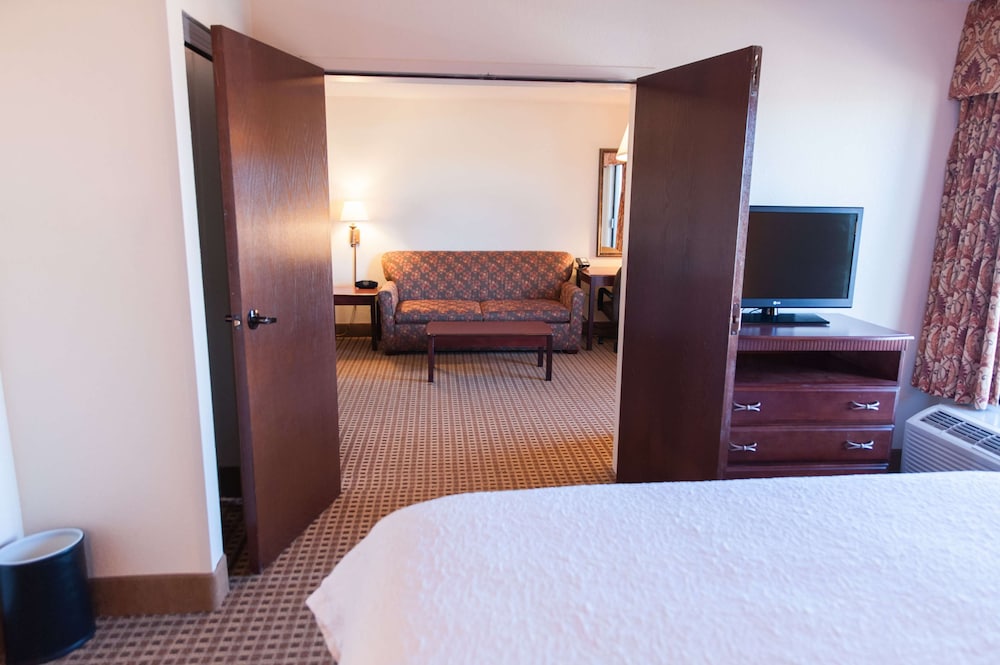 Suite, 1 King Bed, Non Smoking photo 2