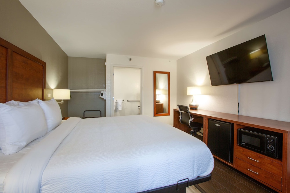 Standard Room, 1 King Bed, Accessible, Non Smoking (with Sofabed) - Photo 7