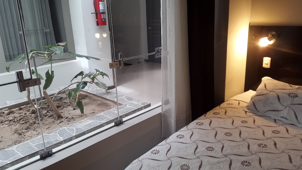 Single Room photo 3