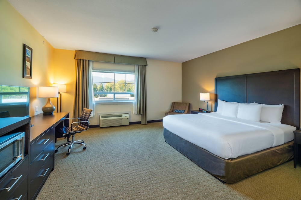 Room, 1 King Bed, Non Smoking
