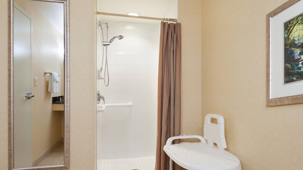 Room, 1 King Bed (Mobility/Hearing Access, Roll-in Shwr) - Photo 2