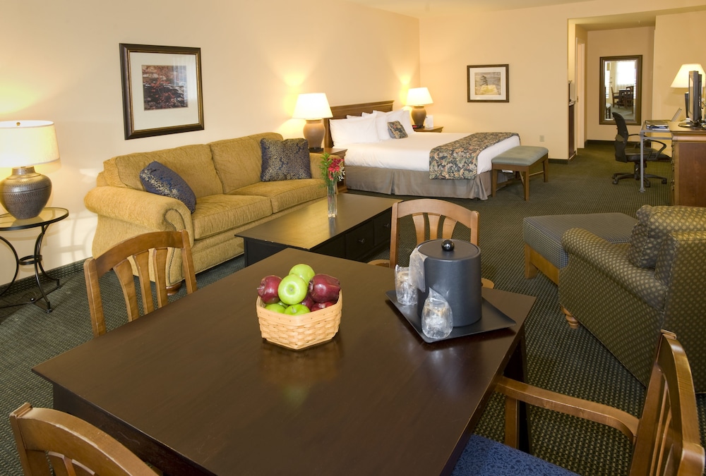 Suite, 1 King Bed with Sofa bed