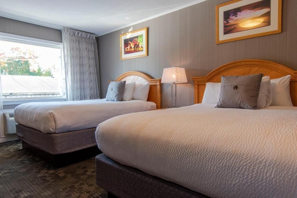 Standard Room, 2 Queen Beds photo 1