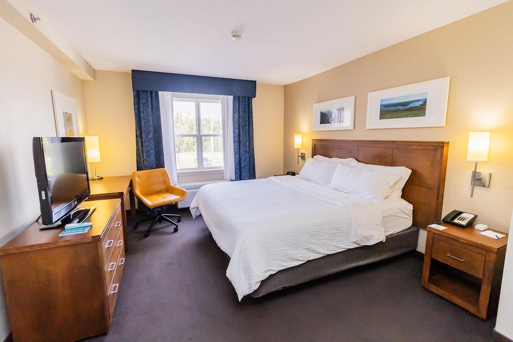 Suite, 1 King Bed, Non Smoking (Queen sofabed) photo 1
