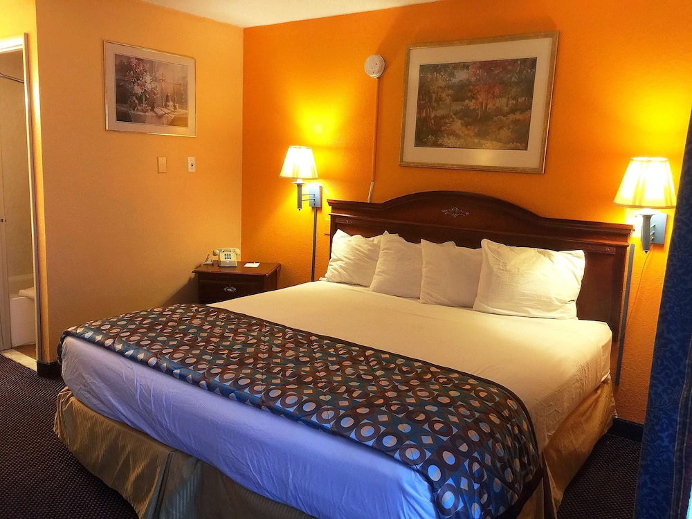 Suite, 1 King Bed, Non Smoking photo 1
