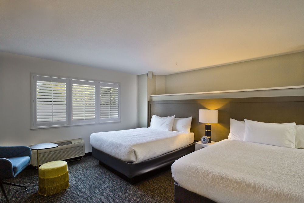 Executive 2 Queen Suite photo 1