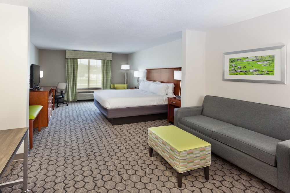 Suite, 1 King Bed with Sofa bed (Additional Living Area) - Photo 6